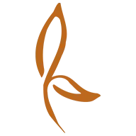 Soul Renovate icon