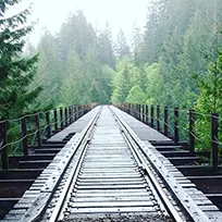 Salmonberry Magazine icon