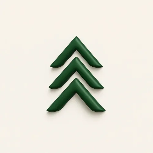 MYPolesye icon