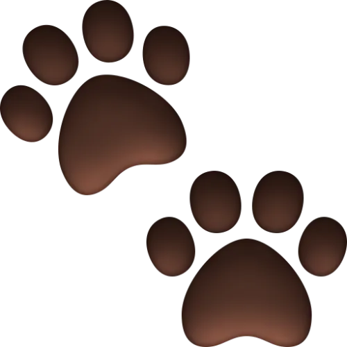 Best Practices on Tracking Your Marketing & Your Competitors Marketing Strategy icon