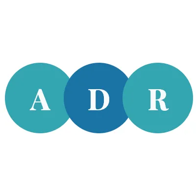 Neutral Perspective by Conclude ADR icon
