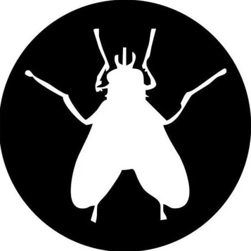 Revista Cazamoscas icon