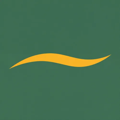 Chiajnatown icon