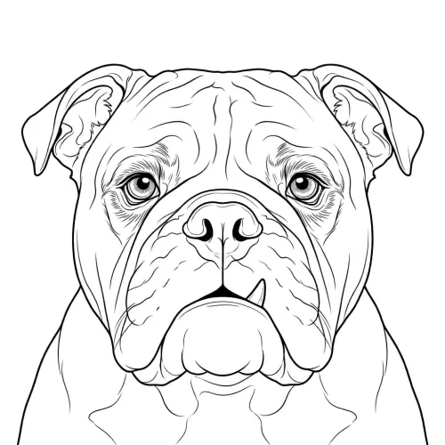 blog-test icon