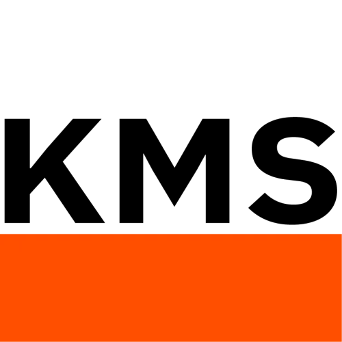 Storer Enterprise Strategy icon