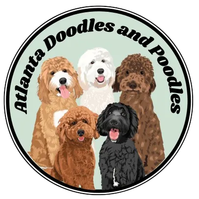 Atlanta Doodles and Poodles icon