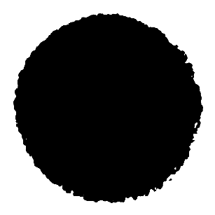 PARADISO icon