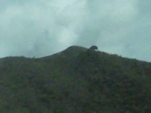 Carlos Abdiel Hernández Rivera icon