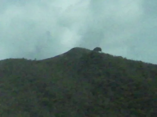 Carlos Abdiel Hernández Rivera icon