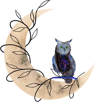Astrology With Destiny icon