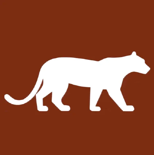 Purr Focus - Photographie icon