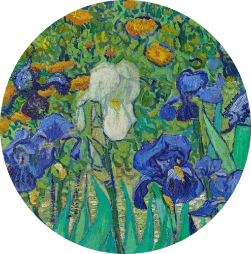 Garden Of Shalva icon