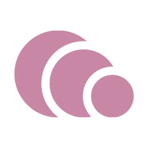 Bizmudra icon