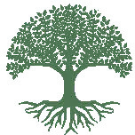 A Life Reflected icon