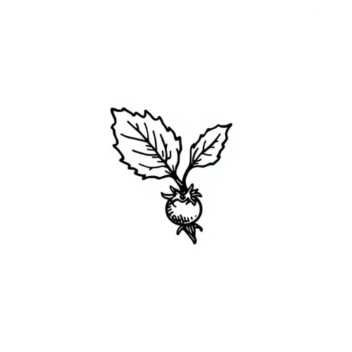 The Chalk & Thorn icon