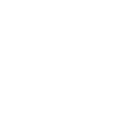 caminodelermitano icon