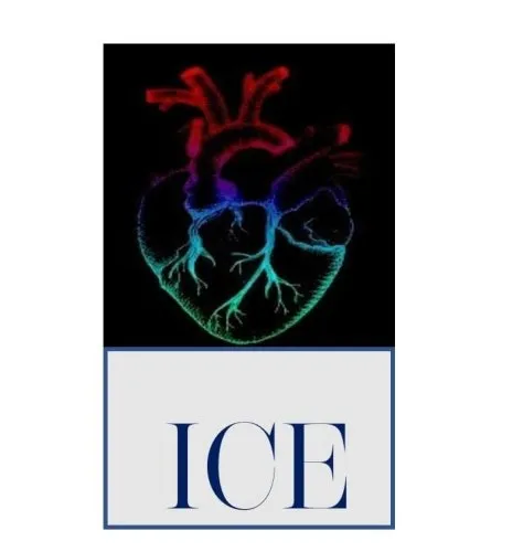 ICE_Prospective_Healthcare icon