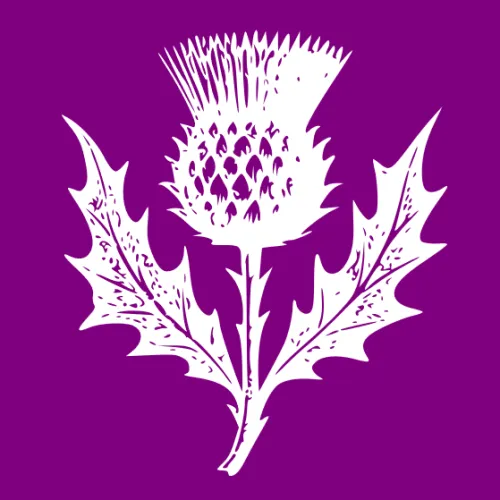 The Thistle