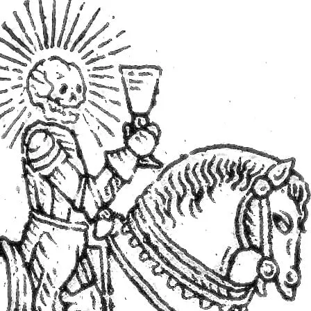 Felipe Cabrera