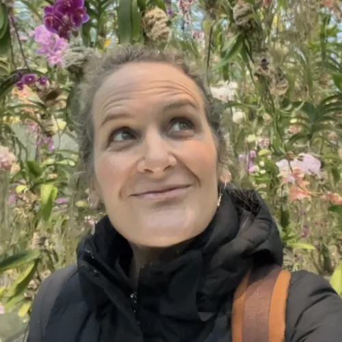 Jane L Peacock