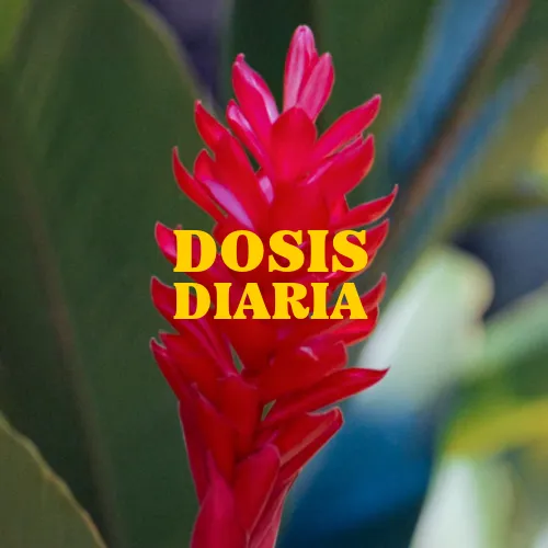 Claudio Tellaeche Rullan