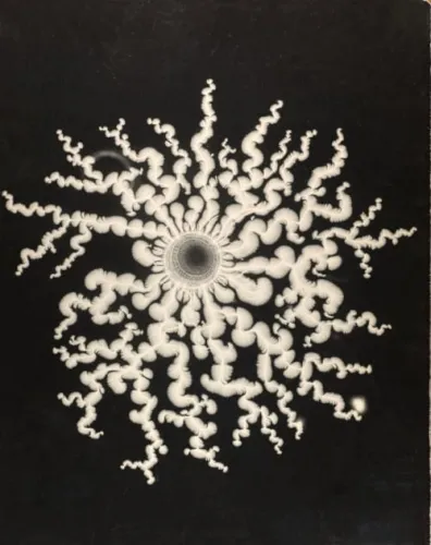 Carissa Knickerbocker