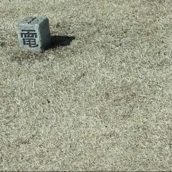 Matthew Klippenstein