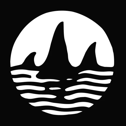 Orca Explorer