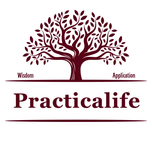 Practicalife