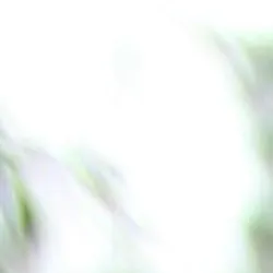 B2B 業務現場筆記