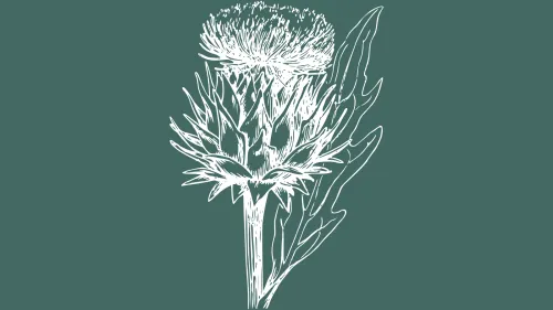 Santiago Sánchez-Cordero