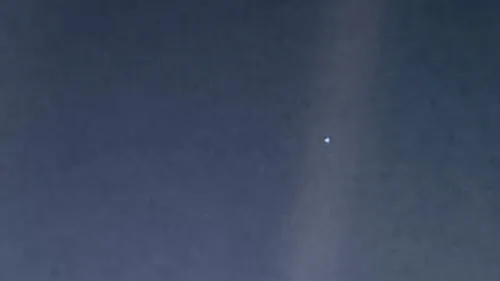 Olivia Garofalo-Saffire