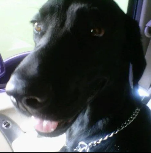 Juan Carlos Cardoso Riveroll