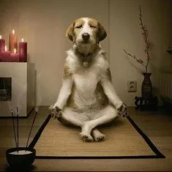 Prashanth Swaminathan